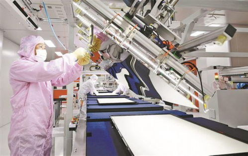 廈門市翔安區(qū) 蓄勢聚能 春潮涌動催人進(jìn)