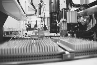 南陽日報多媒體數(shù)字報刊平臺,南陽日報多媒體數(shù)字報刊平臺,南陽,南陽日報,南陽網(wǎng),南陽社區(qū)