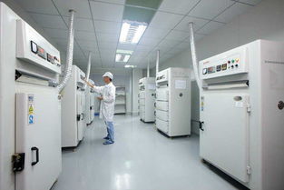 招聘信息 公司前景 規模 待遇怎么樣