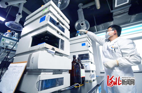 一天不創新,就會落后 石家莊市深化改革激發科技創新活力一線見聞