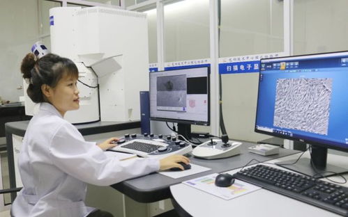 科技創新為發展賦能 包鋼股份成功研發高強度熱處理鋼軌 實現首次出口